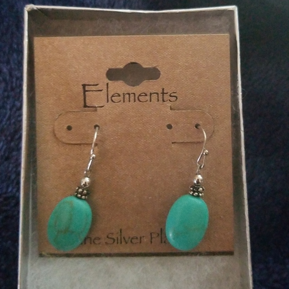 Elements Turquoise drop earrings